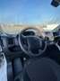 Citroen Jumper 2.0 HDI 131 CV 3 P EURO 6 IVA L2 H2 IVA ESCLUSA Bianco - thumbnail 14