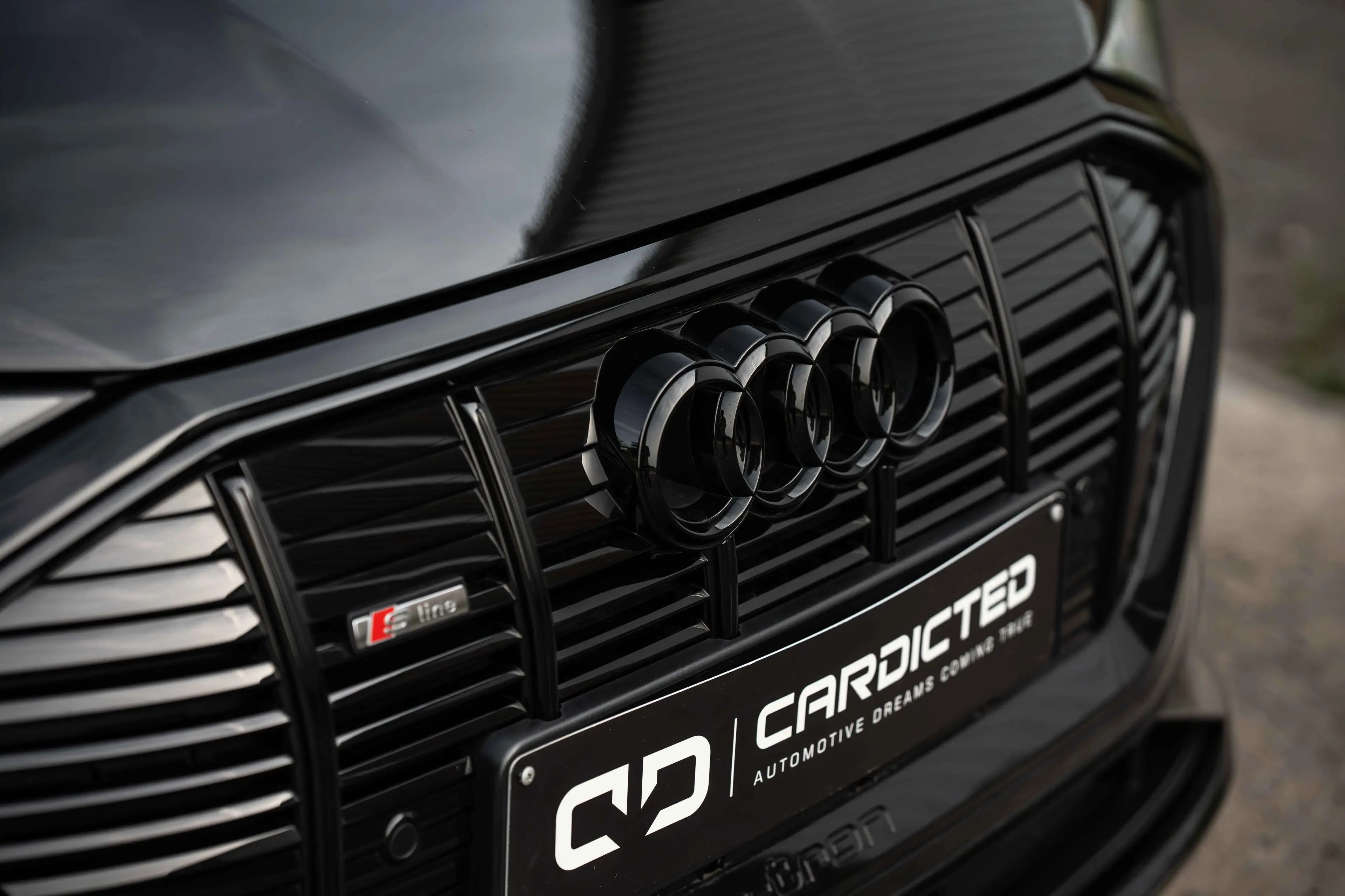 Audi e-tron E-TRON 50*QUATTRO*LED*PANO*MEMORY*CAMERA* — photo 3