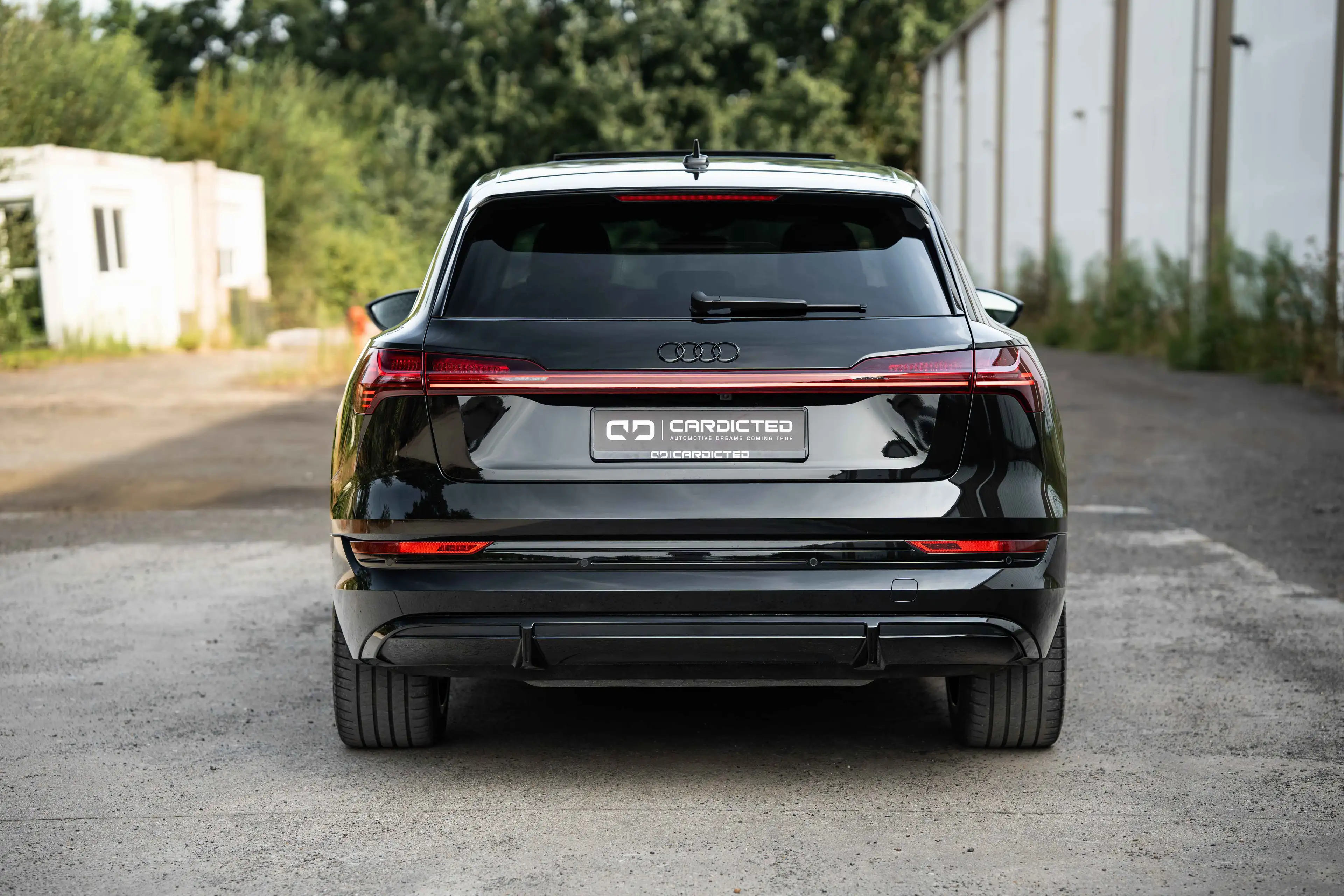 Audi e-tron E-TRON 50*QUATTRO*LED*PANO*MEMORY*CAMERA* — photo 10