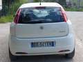 Fiat Grande Punto Grande Punto 5p 1.2 Active  Benzina - Metano White - thumbnail 6