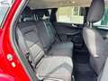 Ford Kuga 1.5 ecoboost Connect 2wd 120cv Rot - thumbnail 9
