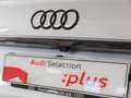 Audi Q5 40 TDI quattro-ultra Black line S tronic 150kW Argent - thumbnail 18