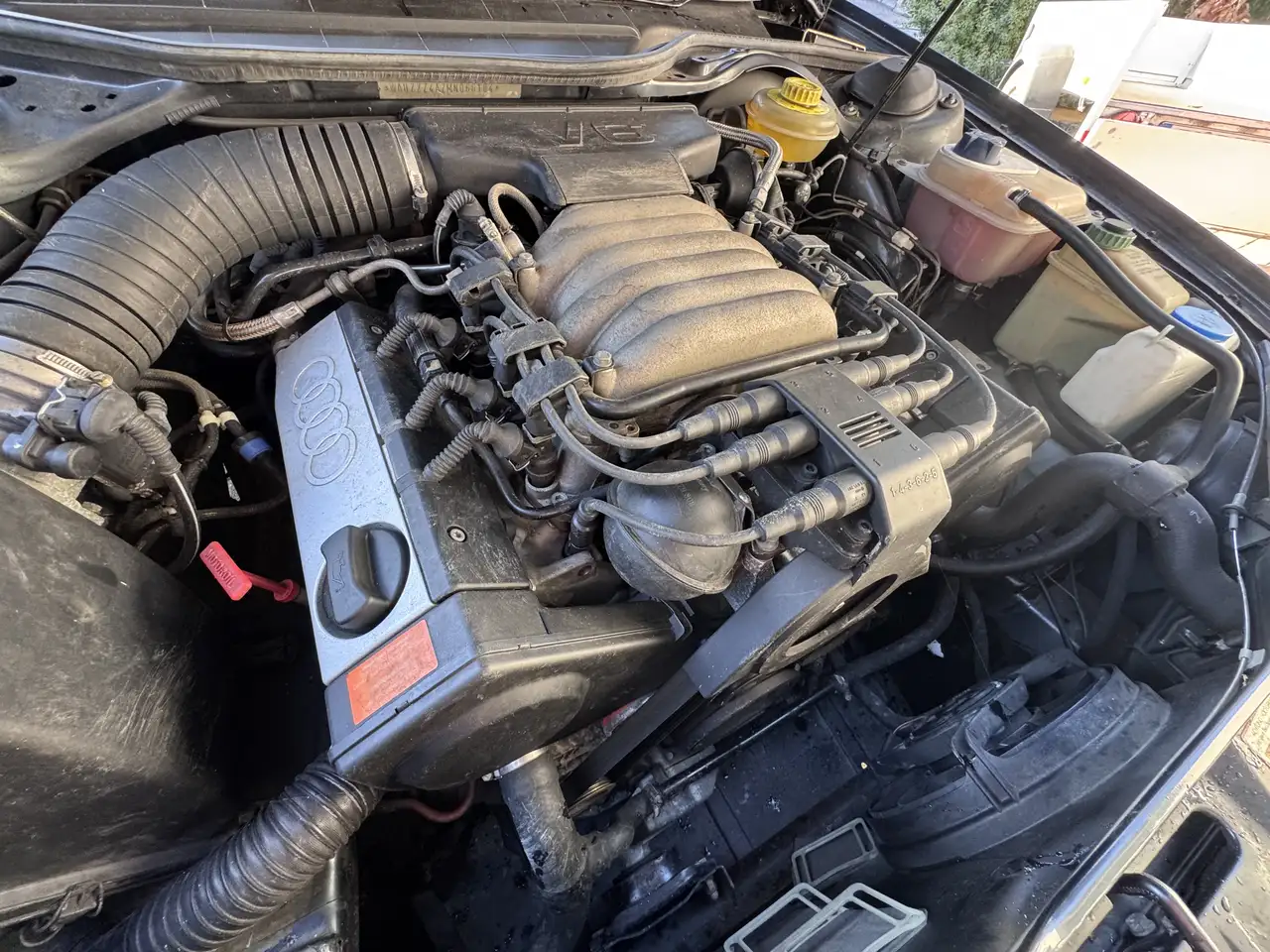 Audi 100 quattro, foto 2