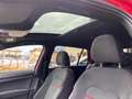 Volkswagen Golf GTI 5p 2.0 Performance 245cv dsg HONEY TETTO DCC Rouge - thumbnail 15