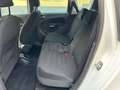 Citroen C3 C3 Picasso 1.6 e-hdi (airdream) Excl. 90cv cmp6 FL Alb - thumbnail 10