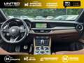 Alfa Romeo Stelvio 2.0T 280 ch Q4 AT8 Veloce Grün - thumbnail 8