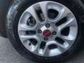 Fiat Panda LOUNGE 1.2 PREZZO REALE 5 POSTI UNIPRO GAR.12M Grigio - thumbnail 11