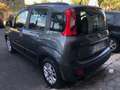 Fiat Panda LOUNGE 1.2 PREZZO REALE 5 POSTI UNIPRO GAR.12M Grigio - thumbnail 6