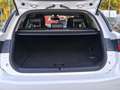 Lexus CT 200h Sport Edition |NAVI|CAMERA|CRUISE CTRL|CLIMA 3311 Wit - thumbnail 28