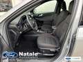 Ford Kuga Kuga III 2020 1.5 ecoblue ST-Line 2wd 120cv auto Gris - thumbnail 10