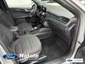 Ford Kuga Kuga III 2020 1.5 ecoblue ST-Line 2wd 120cv auto Gris - thumbnail 14