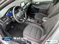 Ford Kuga Kuga III 2020 1.5 ecoblue ST-Line 2wd 120cv auto Gris - thumbnail 11