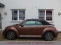 Volkswagen Beetle 1.4TSI DSG Allstar Xenon Kamera AppCon. Braun - thumbnail 8