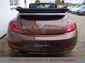 Volkswagen Beetle 1.4TSI DSG Allstar Xenon Kamera AppCon. Braun - thumbnail 17