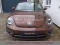 Volkswagen Beetle 1.4TSI DSG Allstar Xenon Kamera AppCon. Braun - thumbnail 5