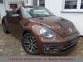 Volkswagen Beetle 1.4TSI DSG Allstar Xenon Kamera AppCon. Braun - thumbnail 1