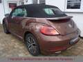 Volkswagen Beetle 1.4TSI DSG Allstar Xenon Kamera AppCon. Braun - thumbnail 4