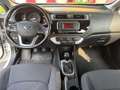 Kia Rio 1.1 CRDi 5p. Active - OK PER NEOPATENTATI - GLI U - thumbnail 17