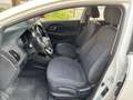 Kia Rio 1.1 CRDi 5p. Active - OK PER NEOPATENTATI - GLI U - thumbnail 15