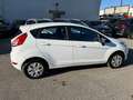 Ford Fiesta Trend 1,0 NIEDRIGE KM Pick.11/26 sparsam Sitzheizg Weiß - thumbnail 2