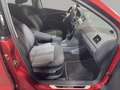 Volkswagen Polo V Allstar BMT Autom. SHZ Navi PDC Rojo - thumbnail 14
