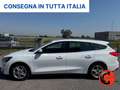 Ford Focus +IVA 1.5 ECOBLUE SW 120C N1 AUTOCARRO-NAVI-SENSORI Weiß - thumbnail 2