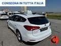 Ford Focus +IVA 1.5 ECOBLUE SW 120C N1 AUTOCARRO-NAVI-SENSORI Weiß - thumbnail 5