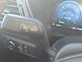 Ford Kuga 2.5 PHEV ST-Line X 243pk Voorraad | Wegklapbare Tr Groen - thumbnail 11