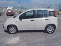 Fiat Panda Panda III 2012 1.2 Easy 69cv E6 Beige - thumbnail 11