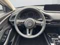 Mazda CX-30 CX-30 2.5 m-hybrid Homura 2wd 140cv 6mt Silber - thumbnail 11