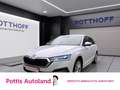 Skoda Octavia Combi iV 1.4 TSI DSG STYLE NAVI ACC MATRIX PDC Weiß - thumbnail 1