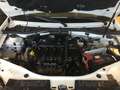 Dacia Duster 1.6 Laureate Gpl 4x2 110cv Bianco - thumbnail 13