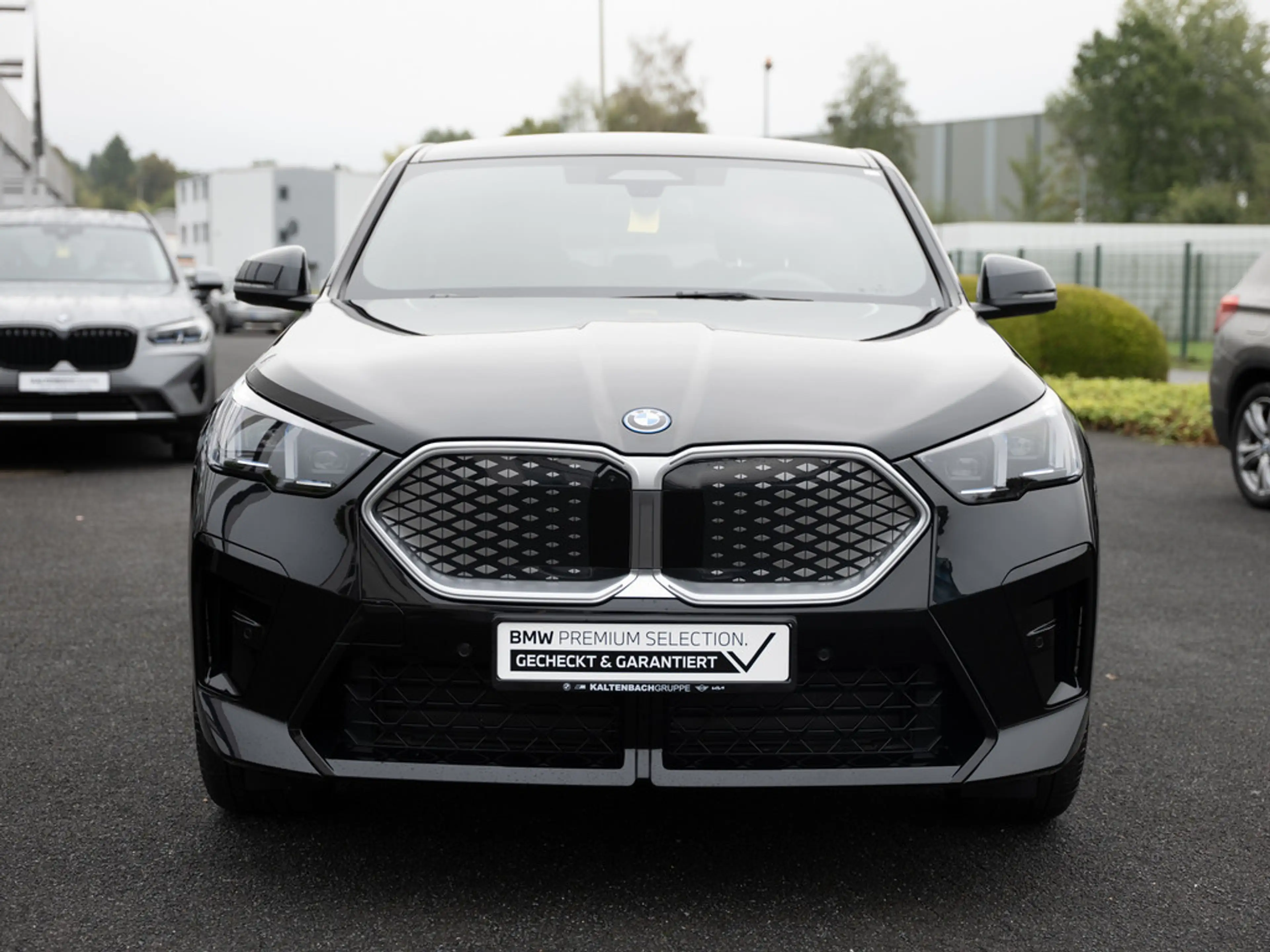 BMW iX2 xDrive30 M-Sport PANO AHK HUD 360° LED — photo 3