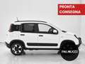 Fiat Panda 1.0 FireFly S&S Hybrid - thumbnail 5