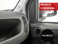 Fiat Panda 1.0 FireFly S&S Hybrid - thumbnail 12