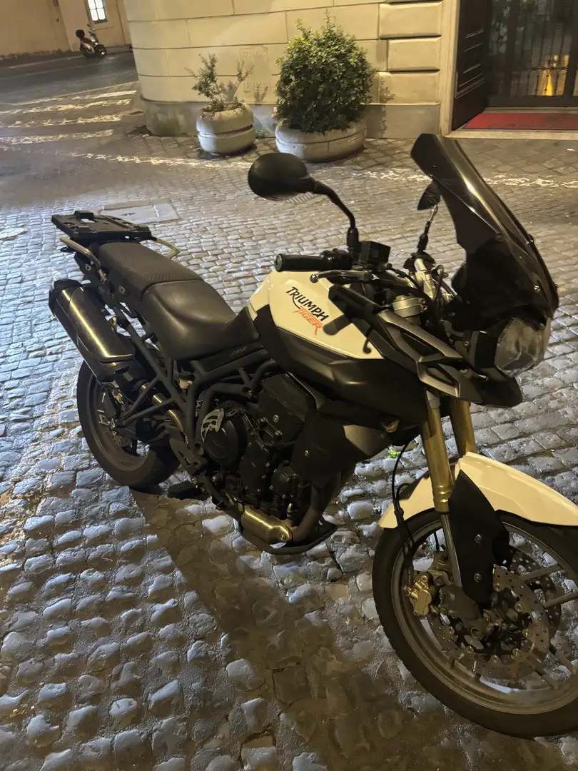 Triumph Tiger 800 - 2