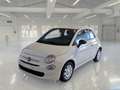 Fiat 500 1.0 70cv Ibrido Cult - thumbnail 1