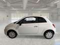Fiat 500 1.0 70cv Ibrido Cult - thumbnail 5
