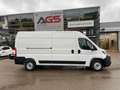 Toyota Proace Max Kasten L3H2 BlueHDi 140 Meister 2.2 FAP Blanc - thumbnail 3