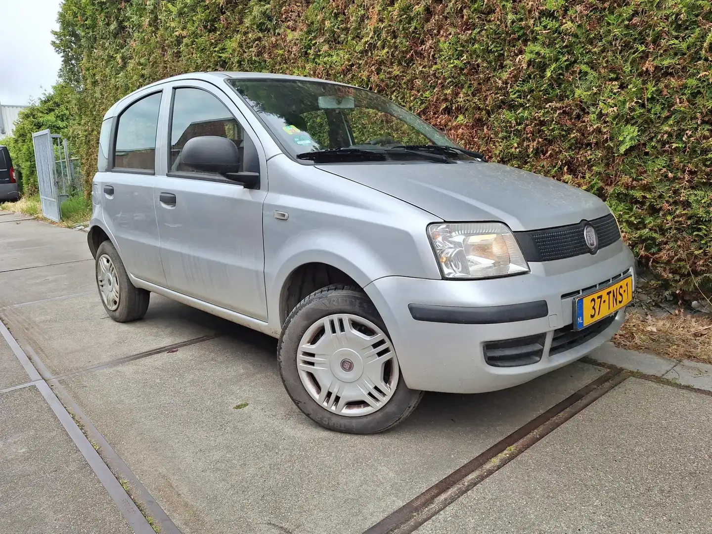 Fiat Panda 1.4 Natural Power Classic Gris - 2