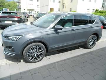 Xperience e-Hybrid DSG TopView/FahrassistXL/20Zoll/AHZV/DCC/