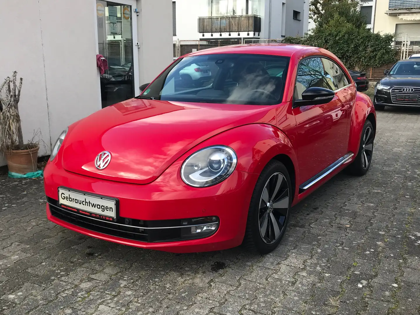 Volkswagen Beetle The Beetle Sport Leder Sitzheizung 18" Zoll Klima Rouge - 2