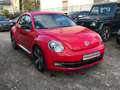 Volkswagen Beetle The Beetle  Sport Leder Sitzheizung 18" Zoll Klima Rot - thumbnail 1