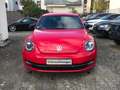 Volkswagen Beetle The Beetle  Sport Leder Sitzheizung 18" Zoll Klima Rouge - thumbnail 3