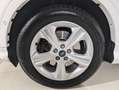 Ford Kuga 2,0 TDCi ST-Line Powershift Aut. AWD| FORD STAH... Weiß - thumbnail 12
