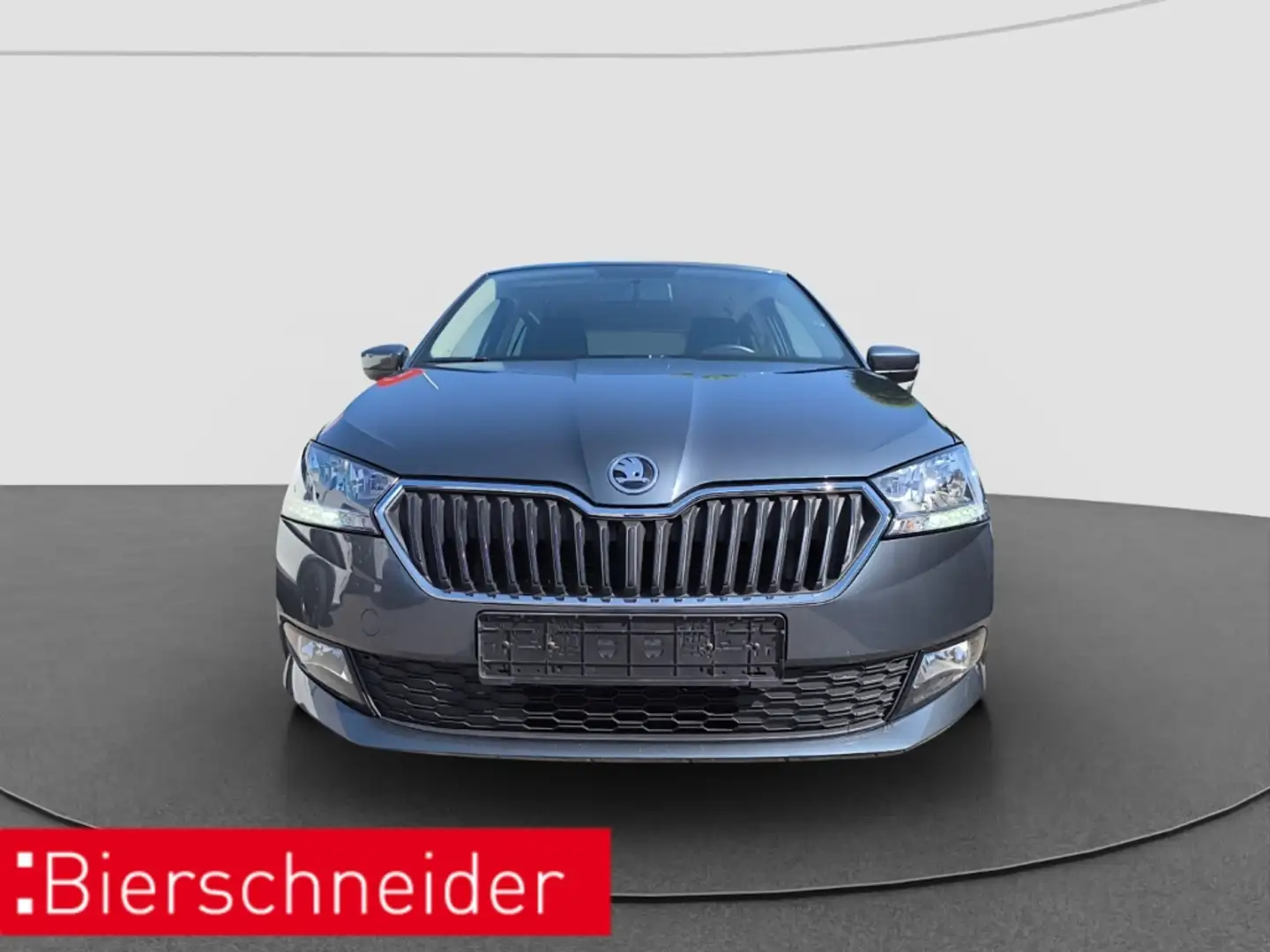Skoda Fabia 1.0 TSI Ambition RFK SHZ SMART-LINK Grau - 2
