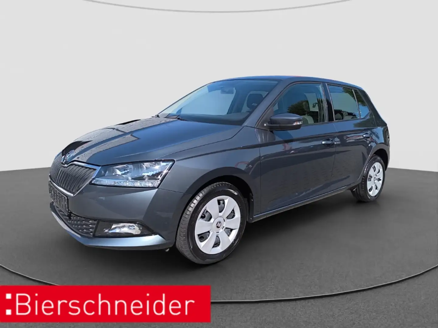Skoda Fabia 1.0 TSI Ambition RFK SHZ SMART-LINK Grau - 1