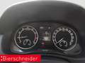 Skoda Fabia 1.0 TSI Ambition RFK SHZ SMART-LINK Grau - thumbnail 14