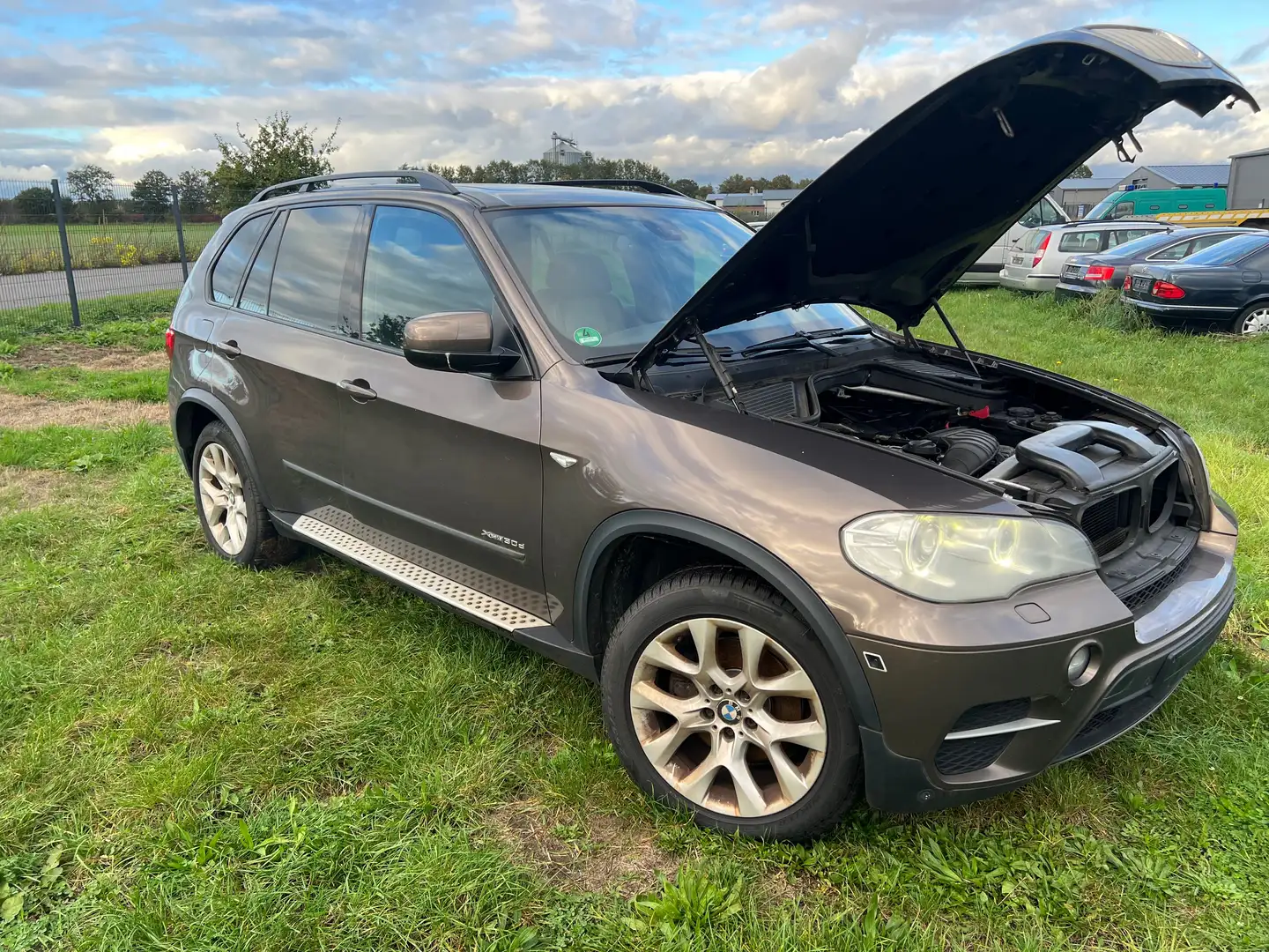 BMW X5 xDrive30d Braun - 1