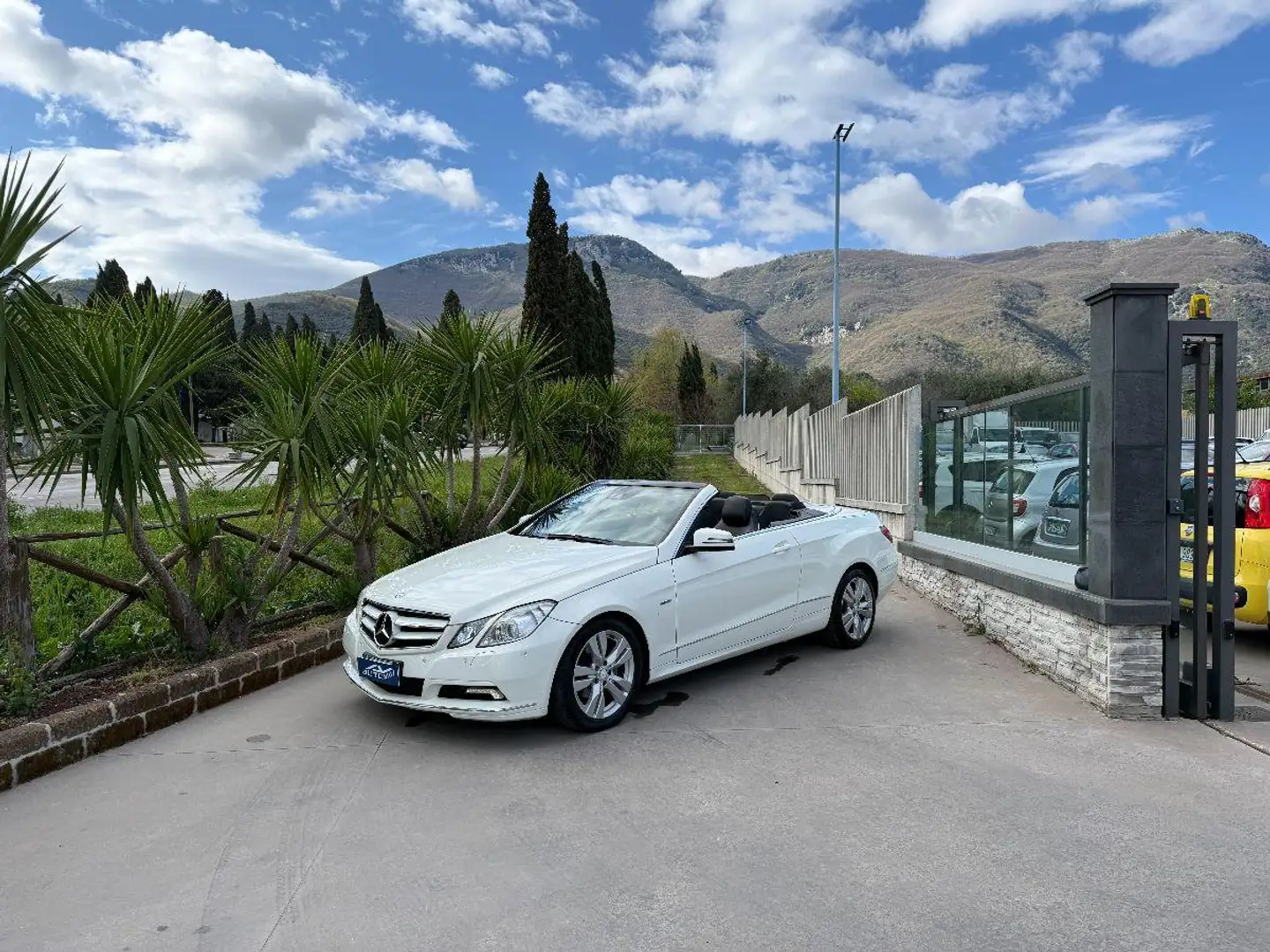 Mercedes-Benz E 220 220 CDI Cabrio BlueEFF. Executive Wit - 1